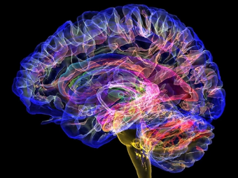 二次元艹逼视频大脑植入物有助于严重头部损伤恢复